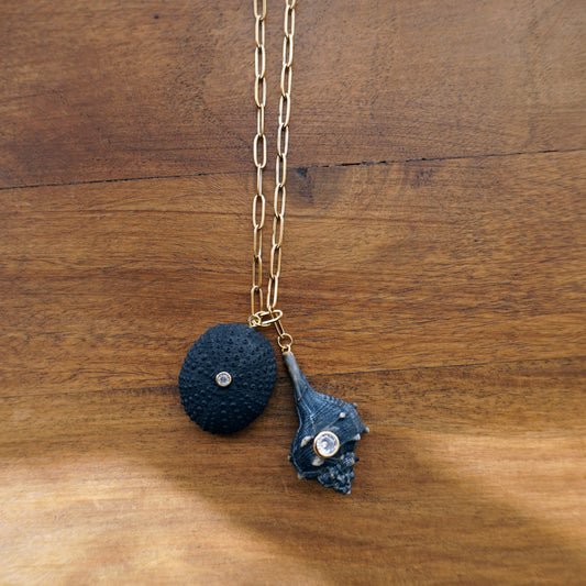Necklace Sea Urchin and seashell