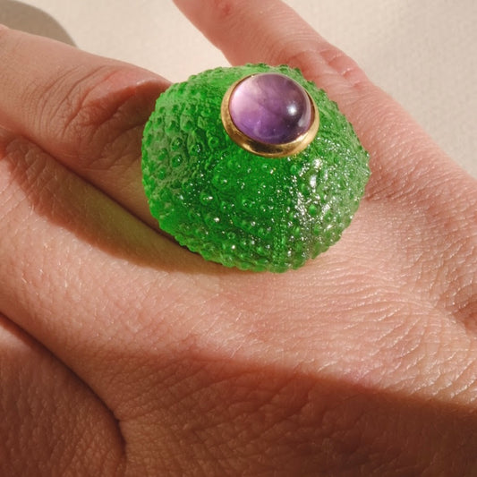 Anillo concha de resina