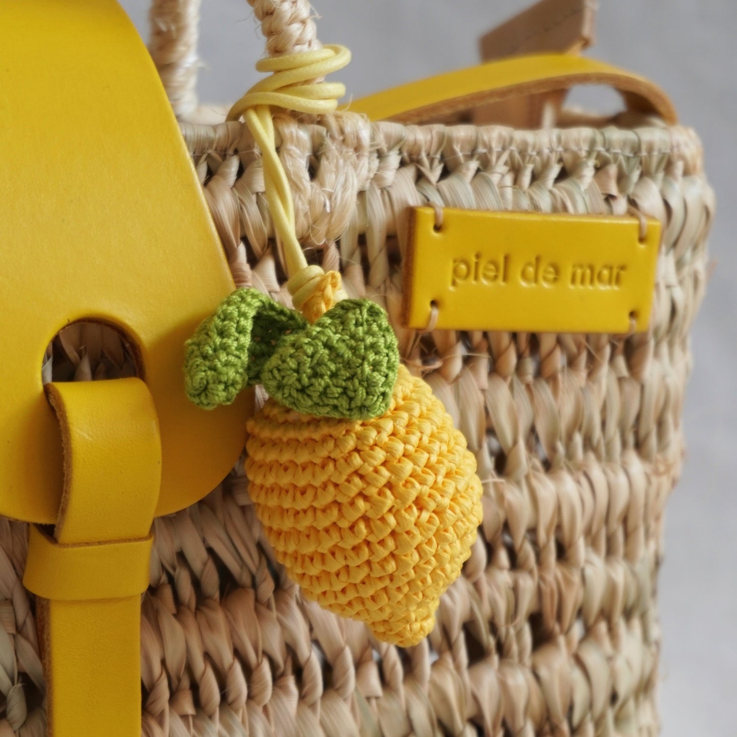 Cleo little basket bag