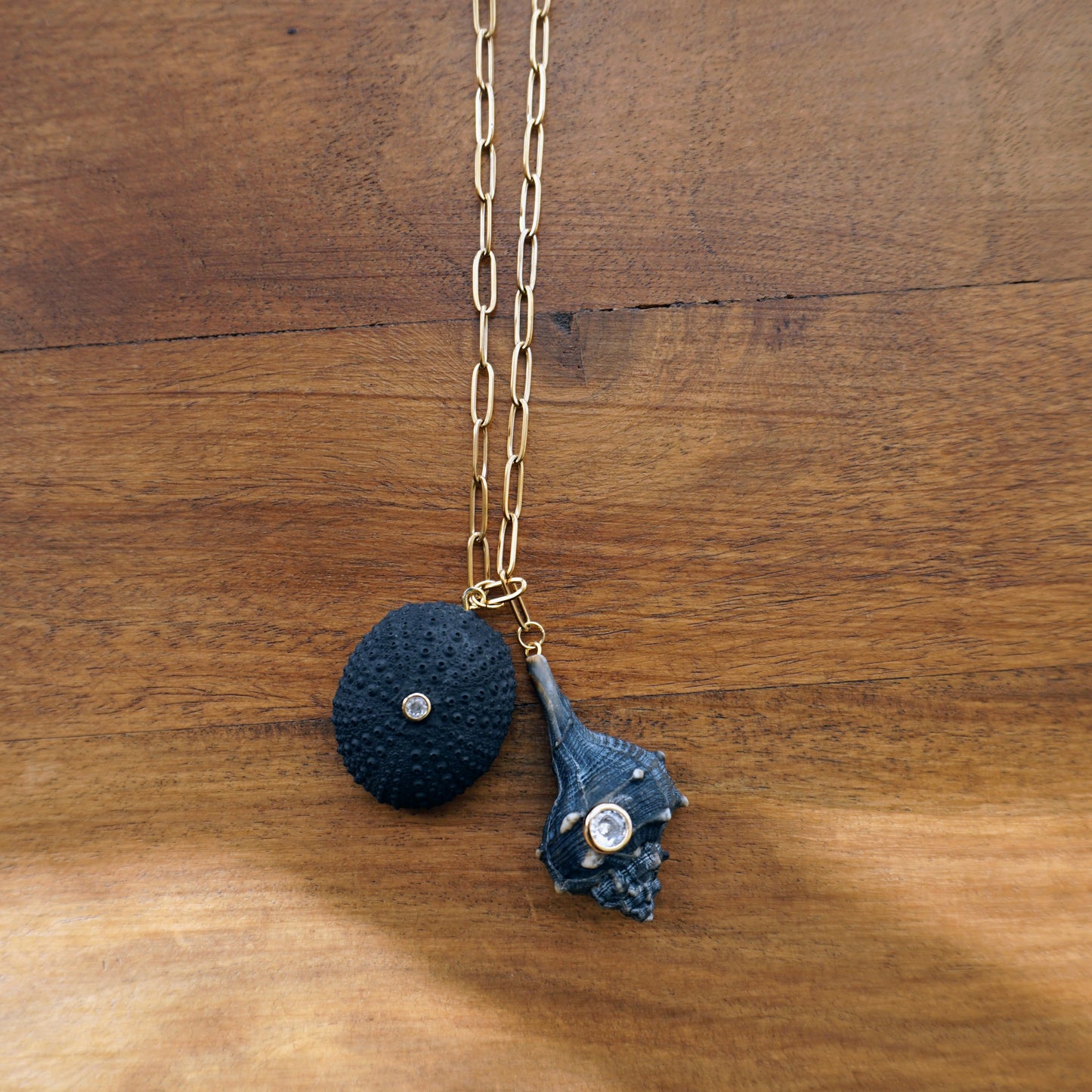 Collar Erizo y caracola