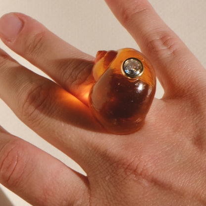 Anello resina
