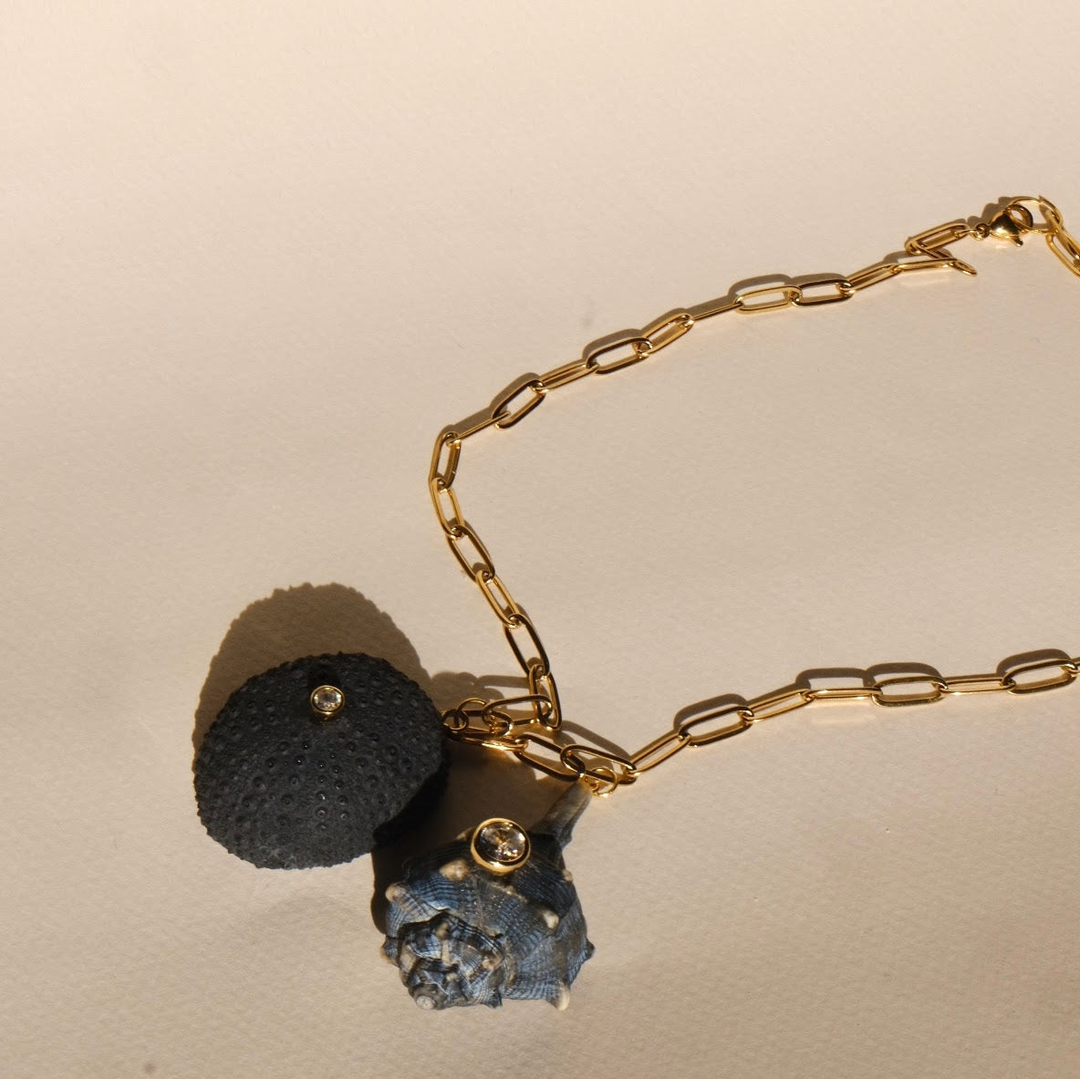 Collar Erizo y caracola