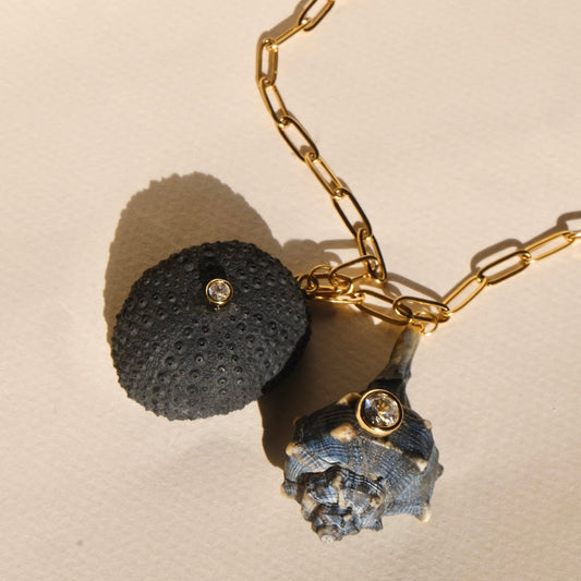 Necklace Sea Urchin and seashell