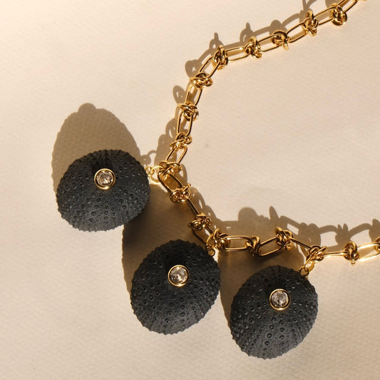 Collar Erizos