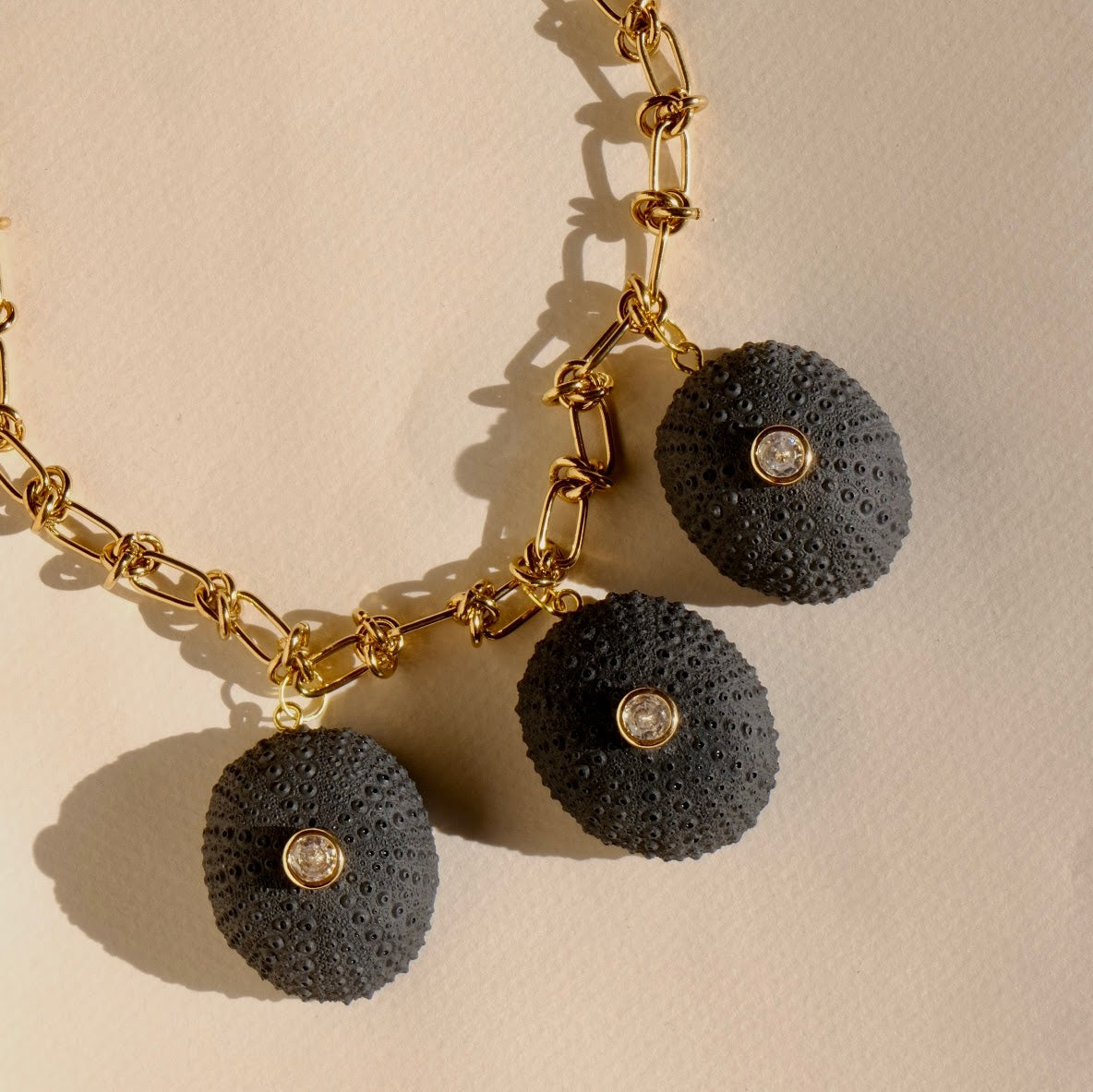 Collar Erizos