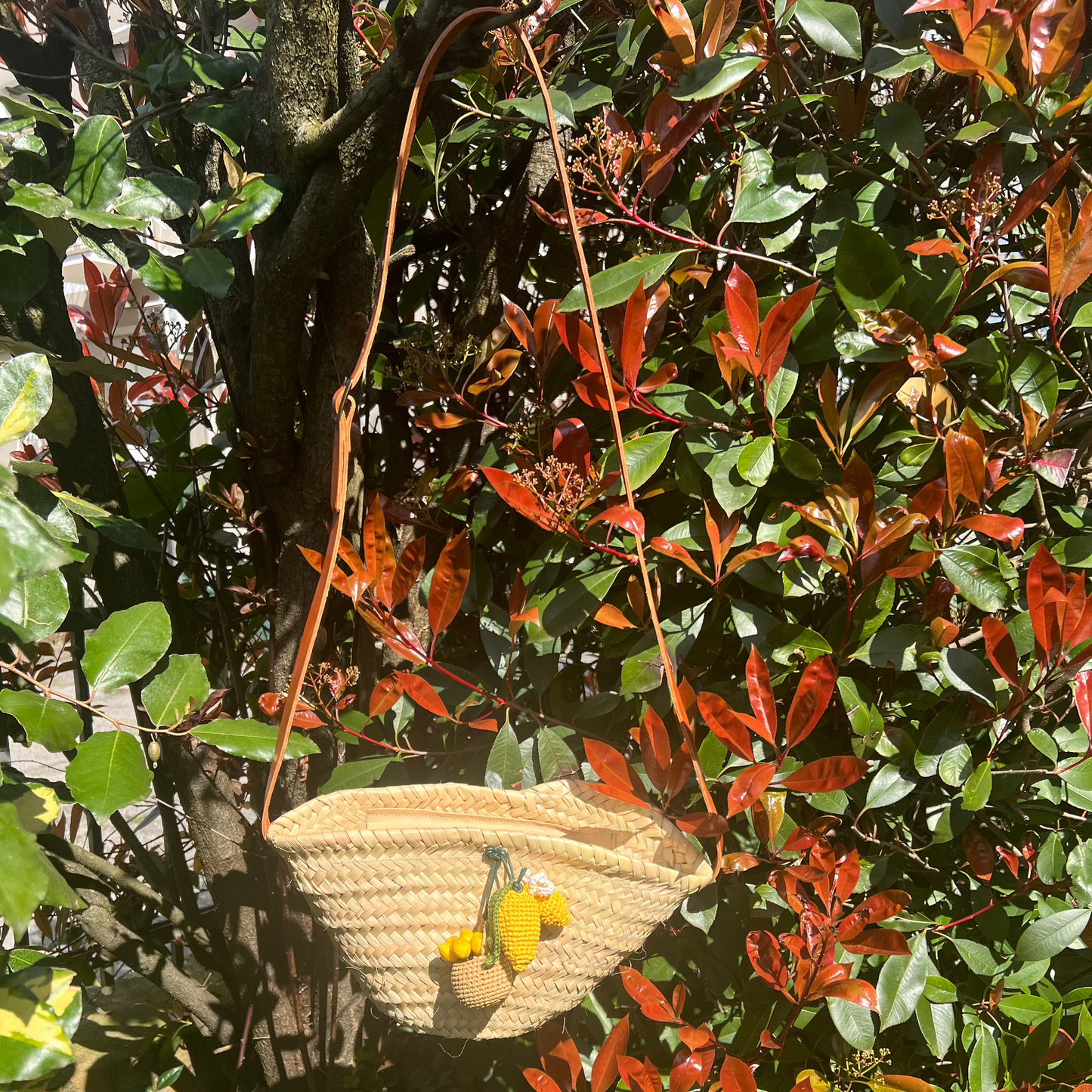Cleo little basket bag